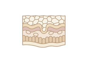 make it more aesthic, with more ivory and champage ish colors. 